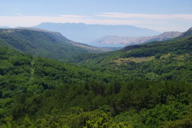 Baska 20
