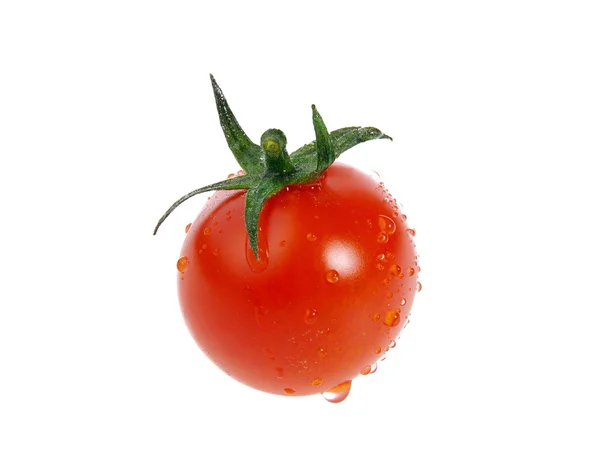 토마토 35 — 스톡 사진