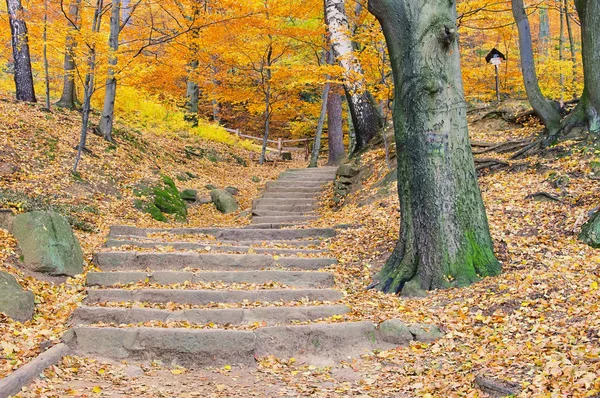 stock image Hiking trail 04