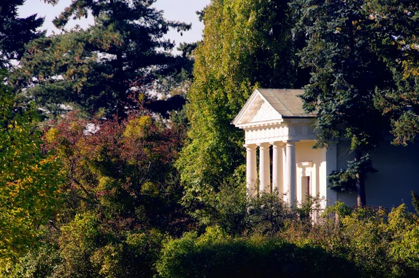 Англійська сад храму Woerlitz флори 02 — стокове фото