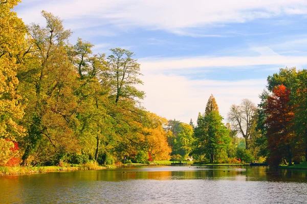 Woerlitzer park görmek - İngilizce woerlitz Gölü 05 gerekçesiyle — Stok fotoğraf