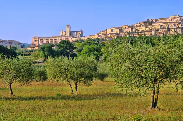 Assisi 11 — Stockfoto