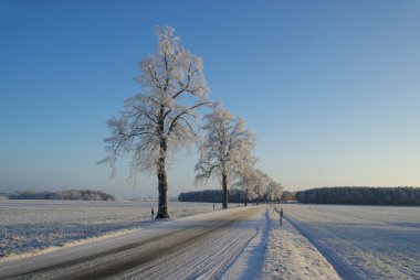 hoarfrost yol 01