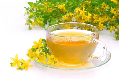 Tea St Johns wort 09 clipart