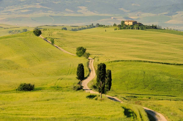 Podere Terrapill, Toscana, Italia — Foto de Stock