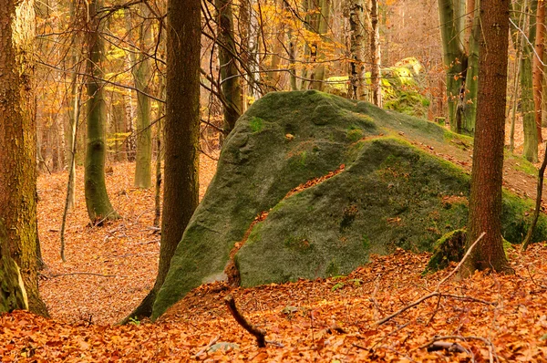 Sandstone rock in forest 10 — Stock Photo, Image