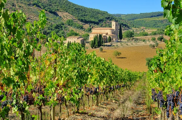 stock image Sant Antimo 22