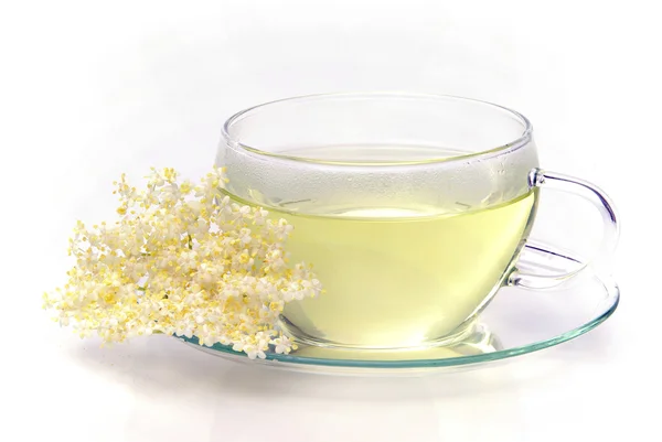 Starszy herbata kwiat 01 — Zdjęcie stockowe