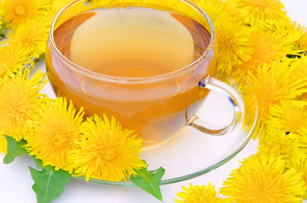 Tea dandelion 06 — Stock Photo, Image