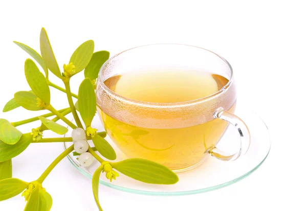 Tea mistletoe 02 — Stock Photo, Image