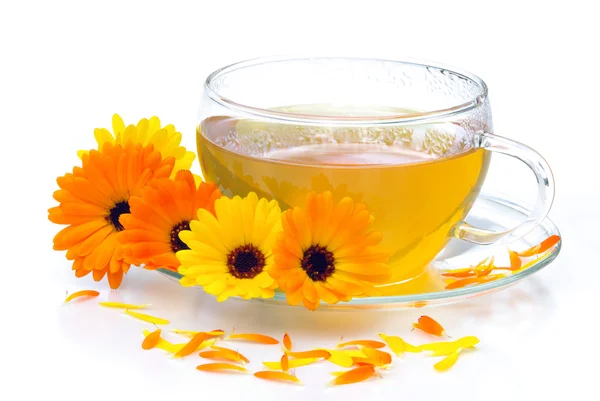 Tea marigold 07 — Stock Photo, Image