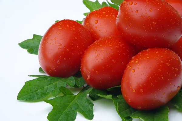 Tomate 13 — Fotografia de Stock