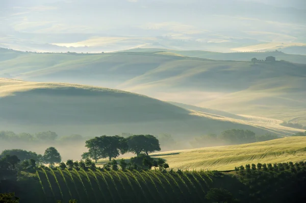 Colinas da Toscana em Italia — Fotografia de Stock