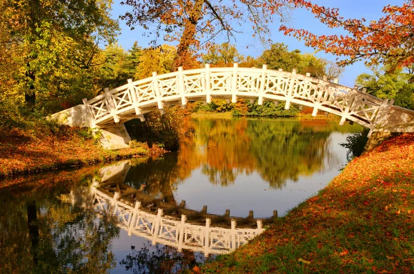 ヴェルリッツの英国庭園白い橋 03 — ストック写真