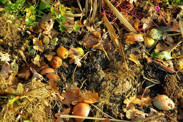Pila di compost 14 — Foto Stock