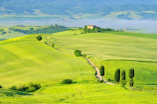 Colinas verdes da Toscana em Itália — Fotografia de Stock