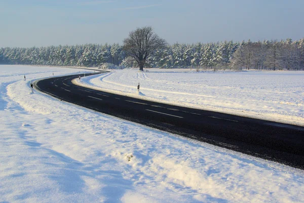 Strada in inverno 08 — Foto Stock