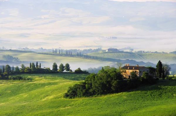 Toscana hills 07 — Stockfoto