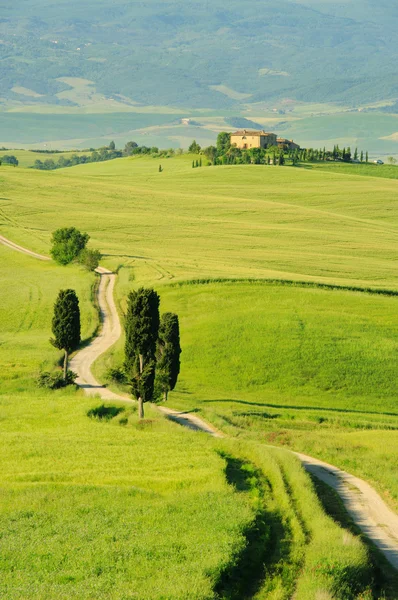 意大利托斯卡纳的绿色山丘 — 图库照片