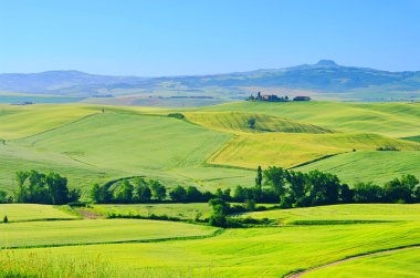 Tuscany green hills in Italy clipart