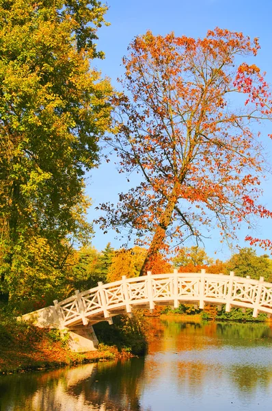 Anglická zahrada woerlitz bílý most 09 — Stock fotografie