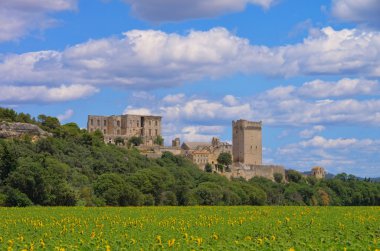 Abbaye de Montmajour 06