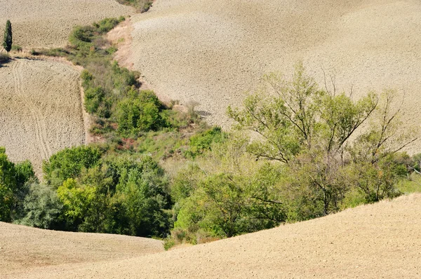 Λόφους της Τοσκάνης, σε πτώση 04 — Φωτογραφία Αρχείου