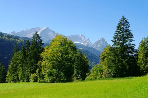 Zugspitze 02 — Stok fotoğraf