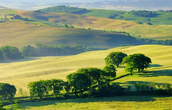 イタリアのトスカーナの緑の丘 — ストック写真
