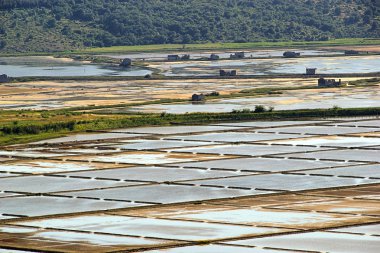 Piran Saline 01