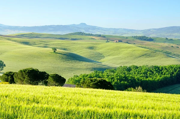 Tuscany hills 55 — Stock Photo, Image