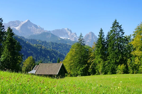 Zugspitze 01 — Stok fotoğraf