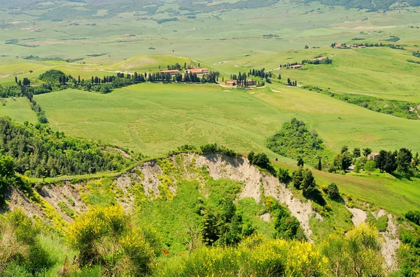 Toszkána zöld dombok Olaszországban — Stock Fotó