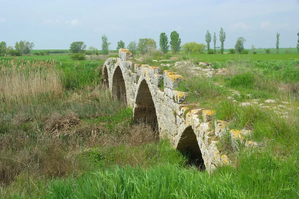Sasamon roman bridge 04 — Stock Photo, Image
