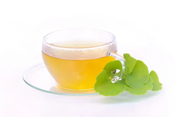 Tea ginkgo 02 — Stock Photo, Image