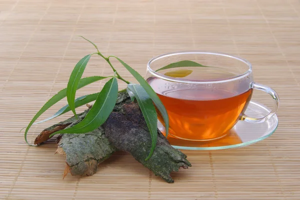 Tea willow 01 — Stock Photo, Image