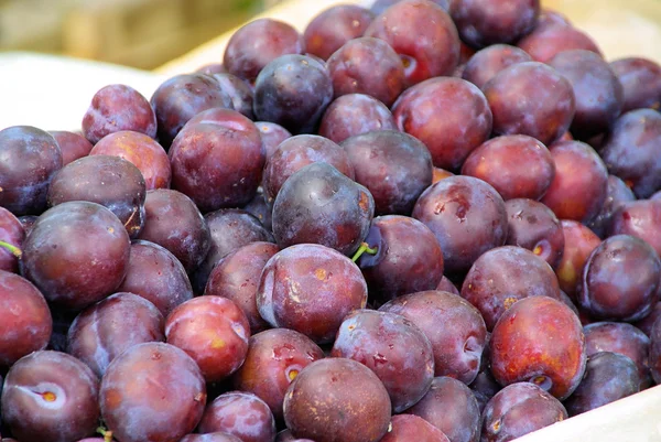 stock image Plum 07