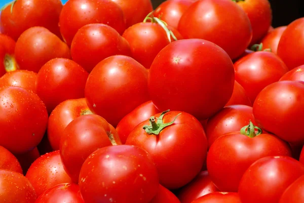 토마토 33 — 스톡 사진