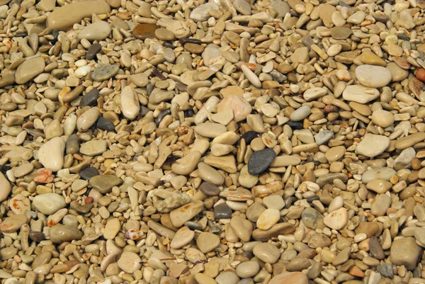 Kieselsteine am Strand 48 — Stockfoto