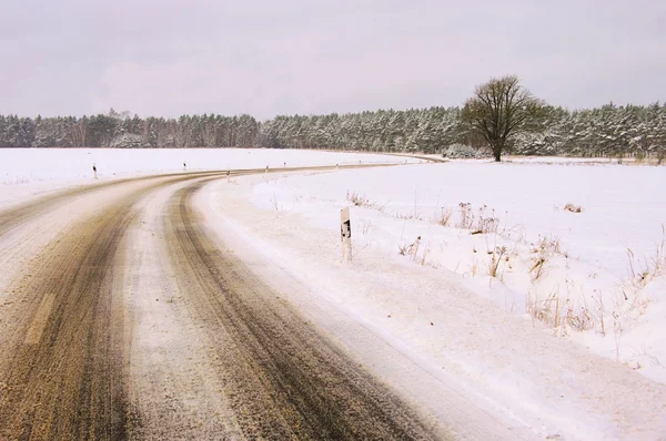 Дорога зимой 10 — стоковое фото