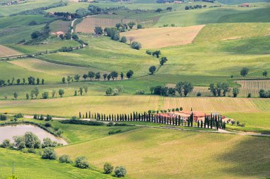 İtalya'da Toskana yeşil tepeler