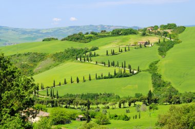 İtalya'da Toskana yeşil tepeler