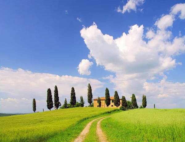 Tuscan farmhouse and cypress trees on a hill, Italy — Stock Photo, Image