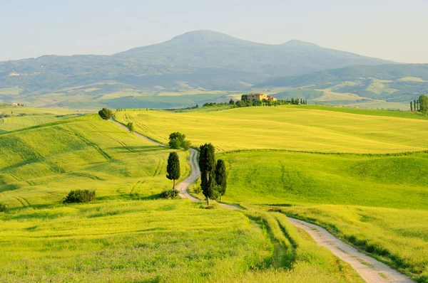 Toscana verdi colline in Italia — Foto Stock