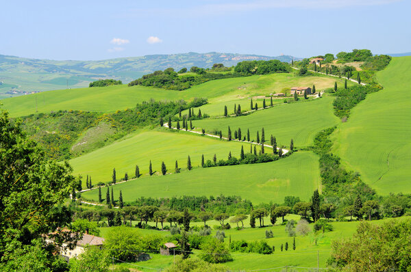 Tuscany green hills in Italy