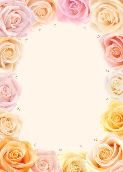 Рамка из свежих роз — стоковое фото