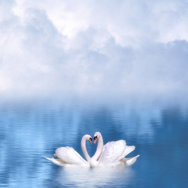 Graceful swans in love clipart