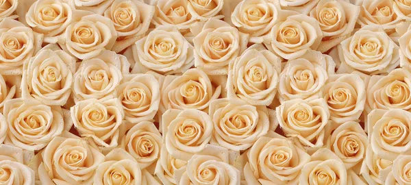 Ramo de rosas cremosas patrón sin costuras —  Fotos de Stock