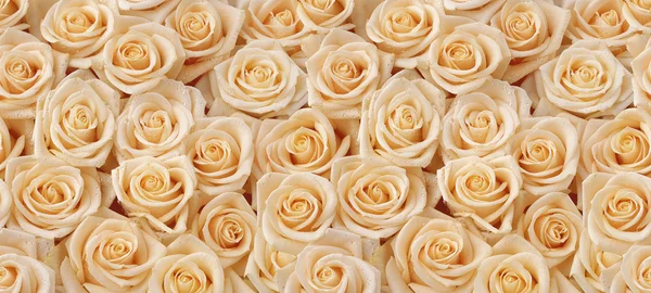 Ramo de rosas cremosas patrón sin costuras — Foto de Stock