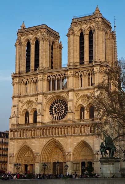 Notre Dame Cathedral in the evening sun — Stock Photo, Image